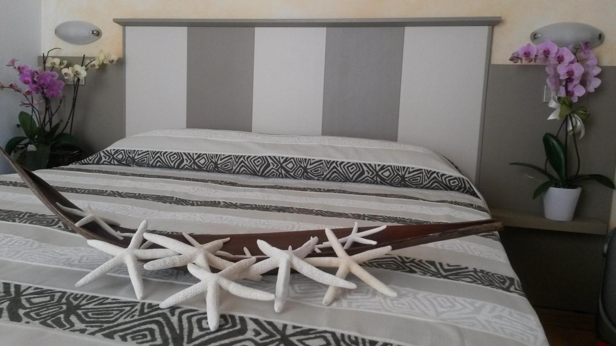 Hotel Camelia Ρίμινι Εξωτερικό φωτογραφία